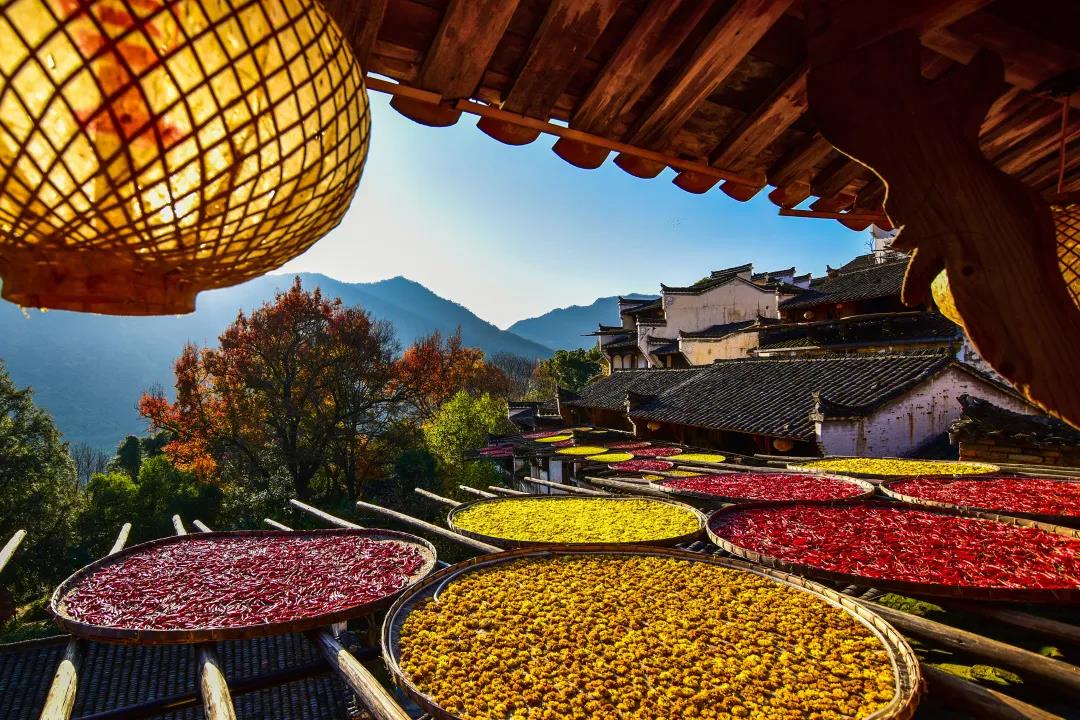 廬山、鄱陽(yáng)湖石鐘山、景德鎮(zhèn)、婺源篁嶺、三清山四日游