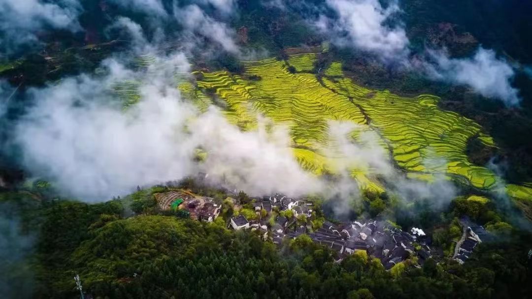 廬山、鄱陽湖石鐘山、景德鎮(zhèn)、婺源篁嶺三日游